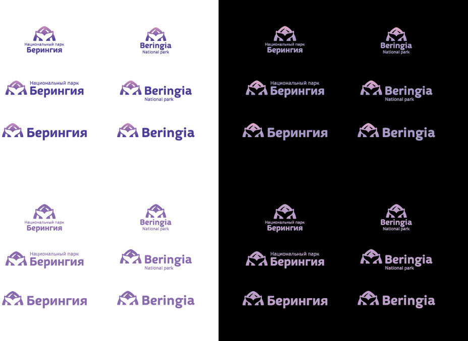 beringia process 37