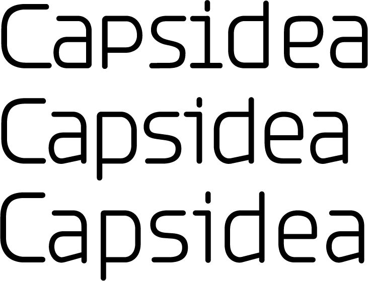 capsidea process 09
