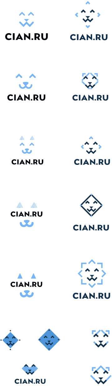 cian logo2 process 06