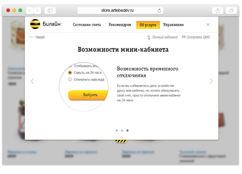 beeline my mini about