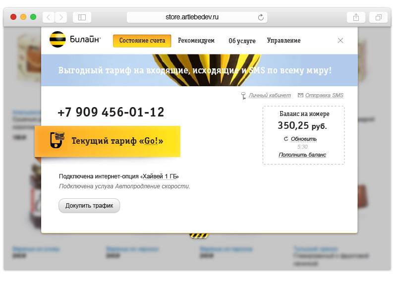 beeline my mini main