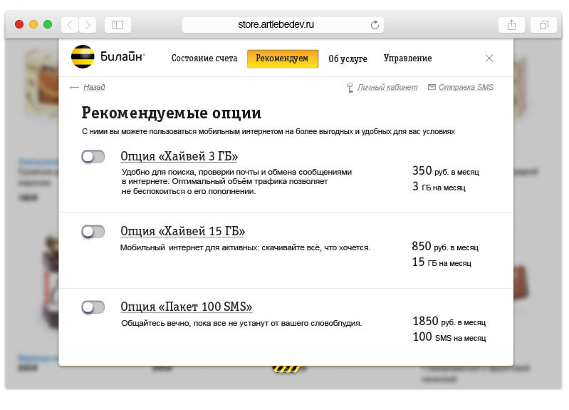 beeline my mini options