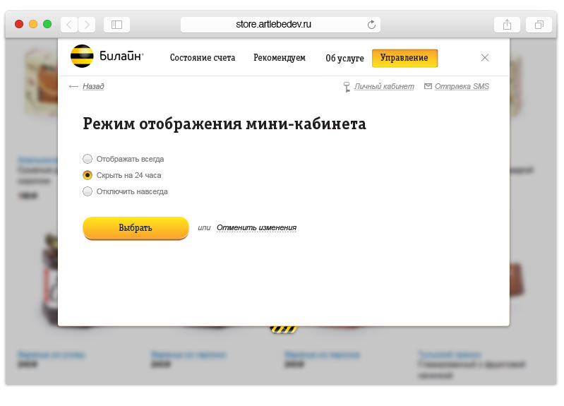 beeline my mini prefs