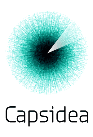 capsidea logo