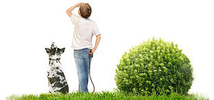 federation site3 boy