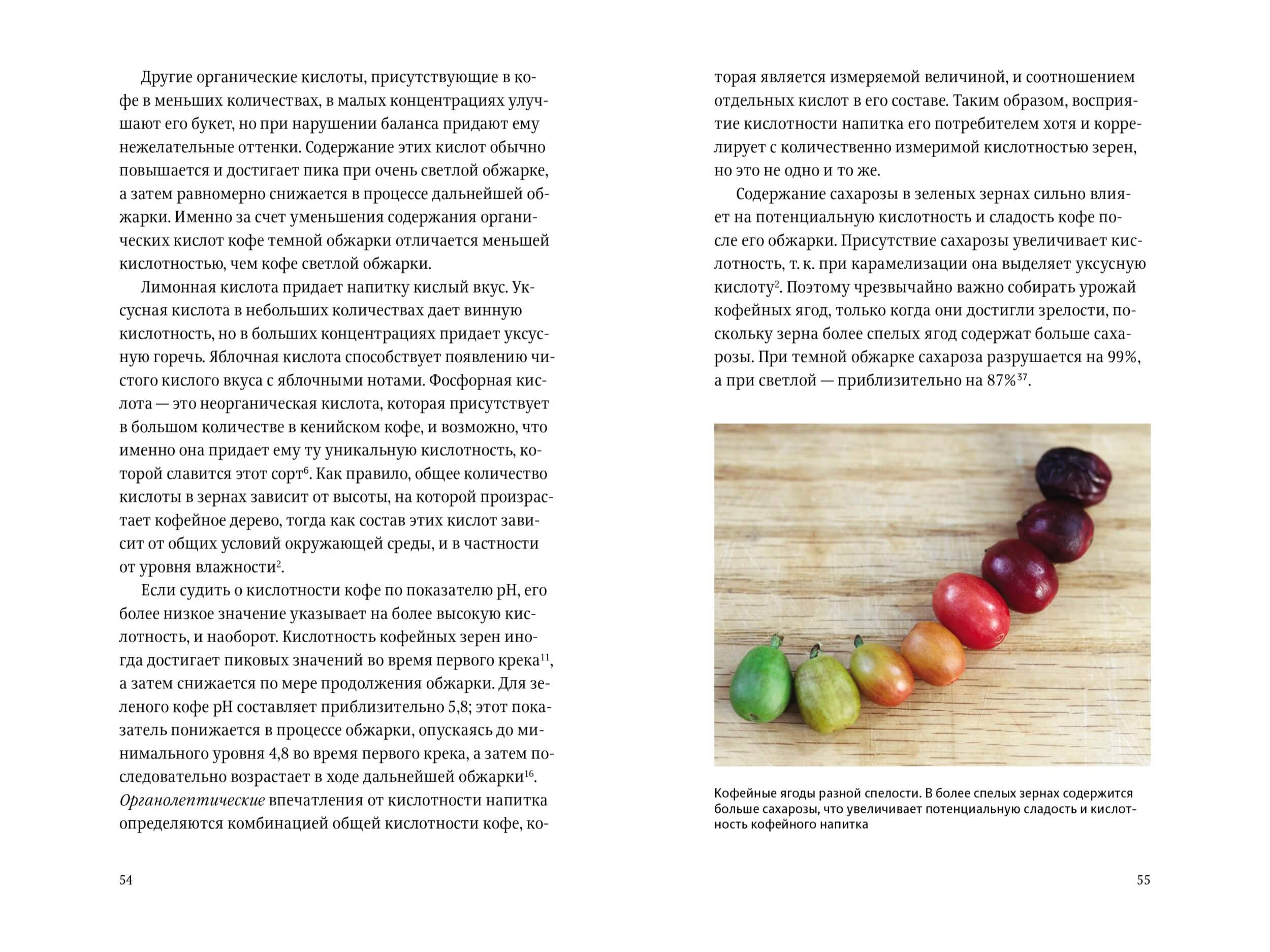 spravochnik obzharshika slider 03