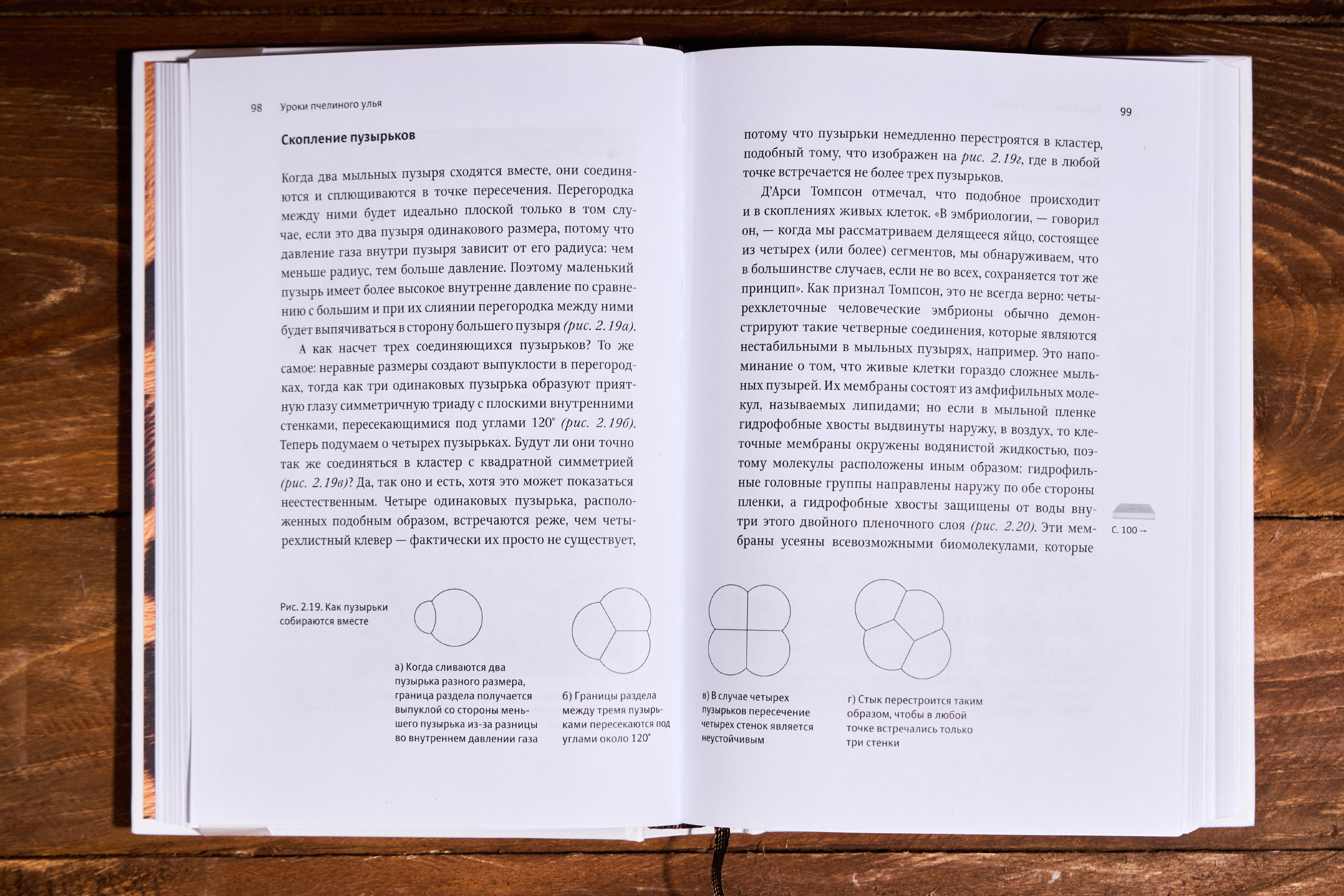 zakonomernosti v prirode 01