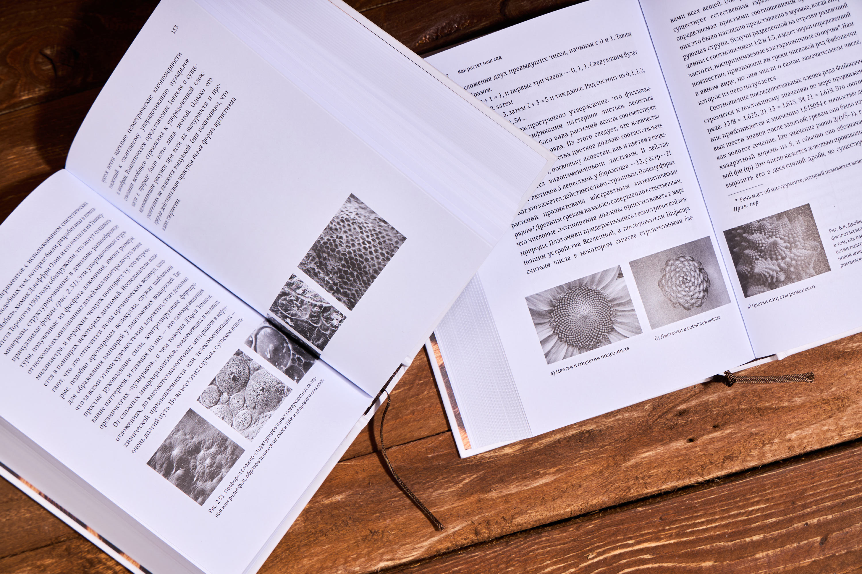 zakonomernosti v prirode 02