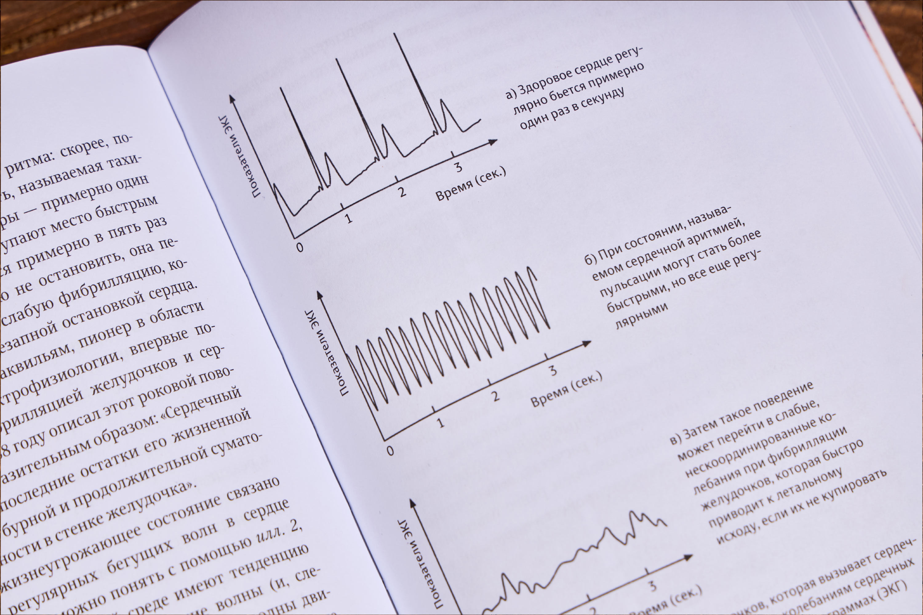 zakonomernosti v prirode 03