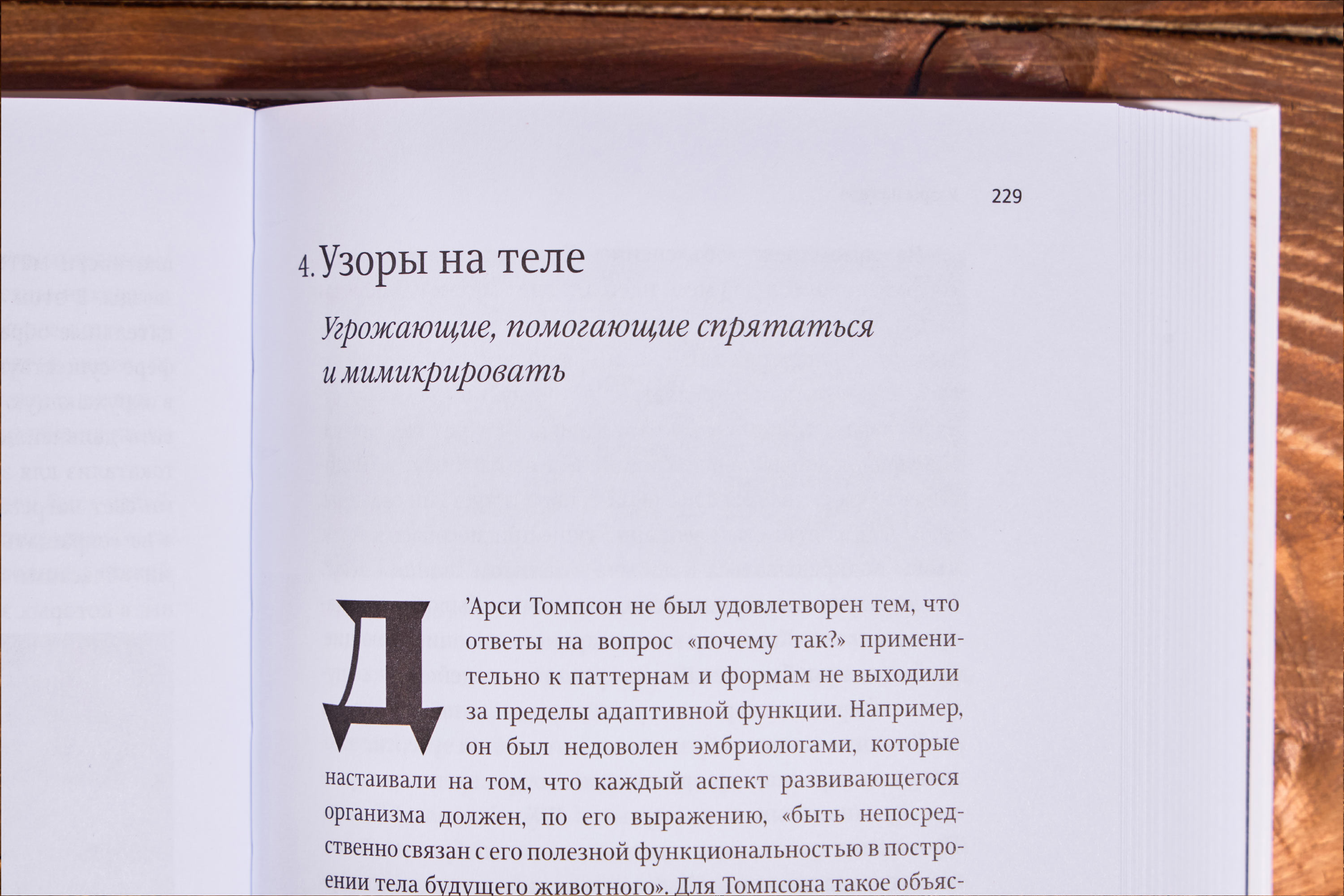 zakonomernosti v prirode 04