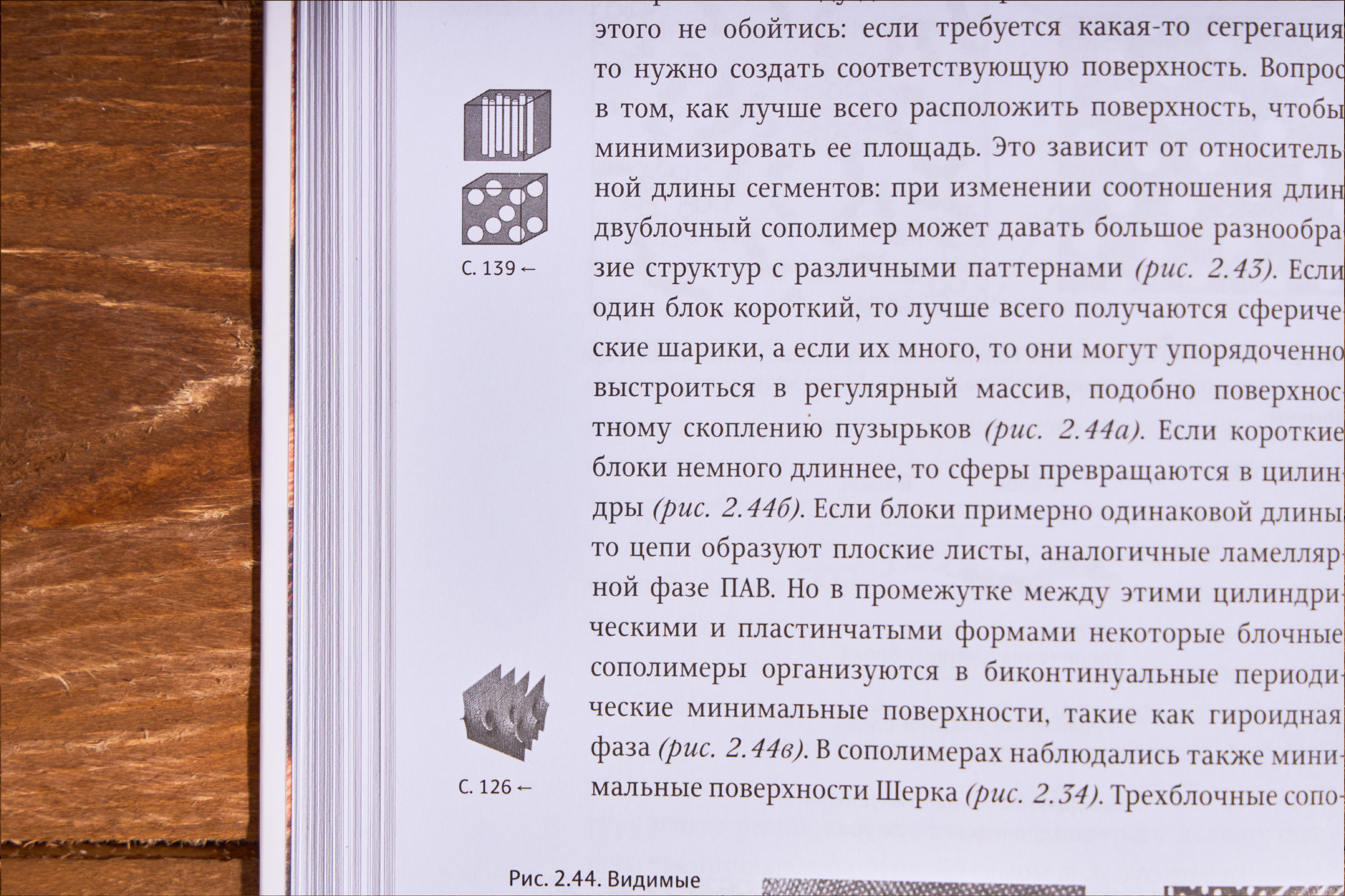 zakonomernosti v prirode 05