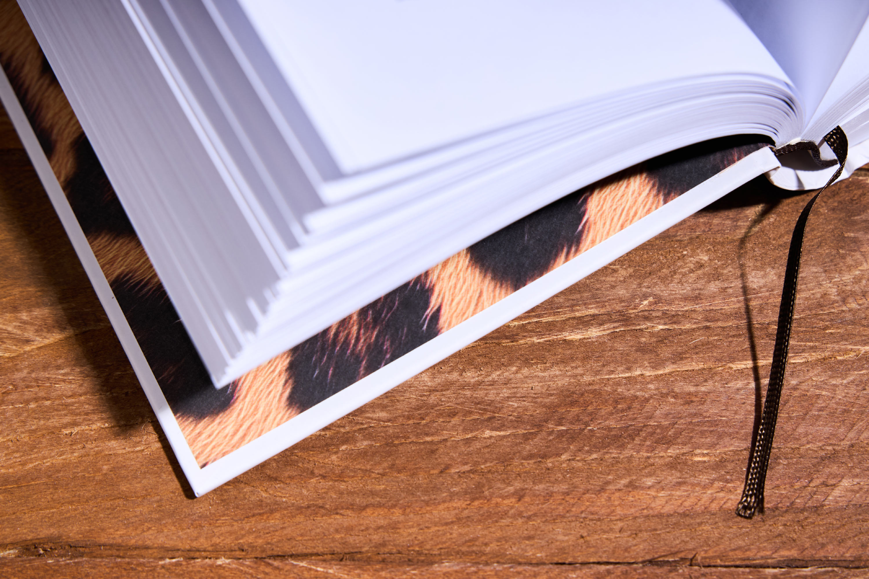 zakonomernosti v prirode 07