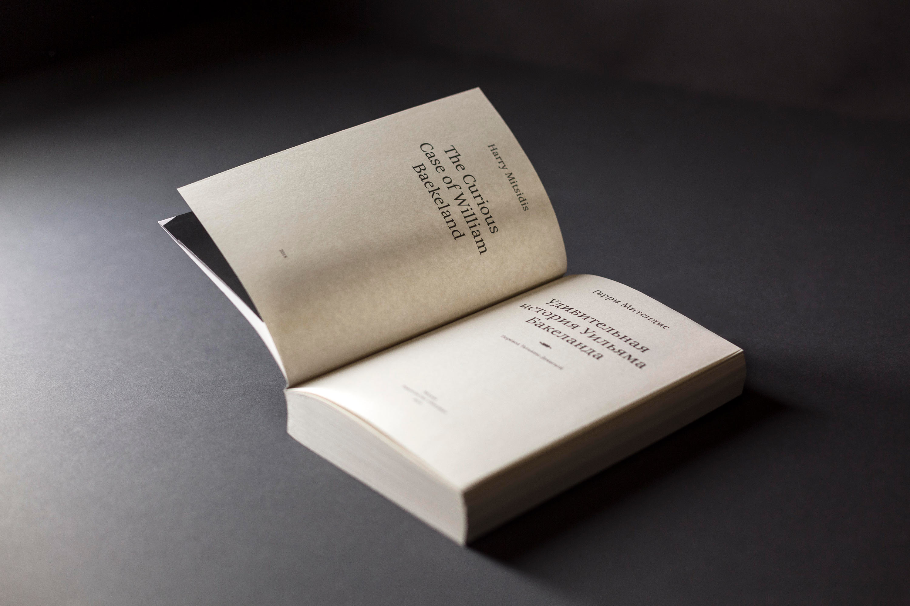 udivitelnaya istoriya title