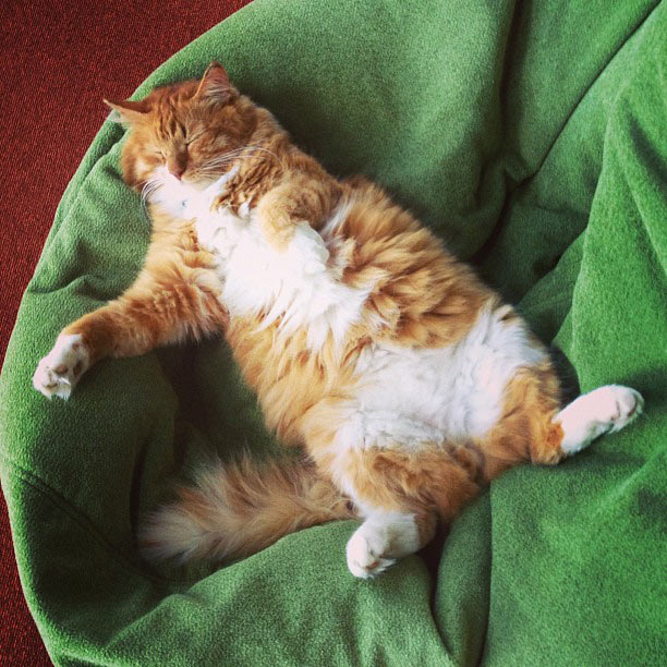 metro navigation process 2 22