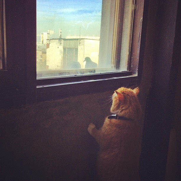 metro navigation process 2 24