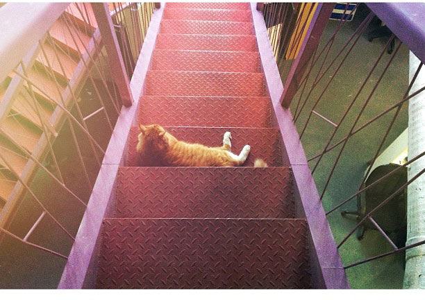 metro navigation process 2 26