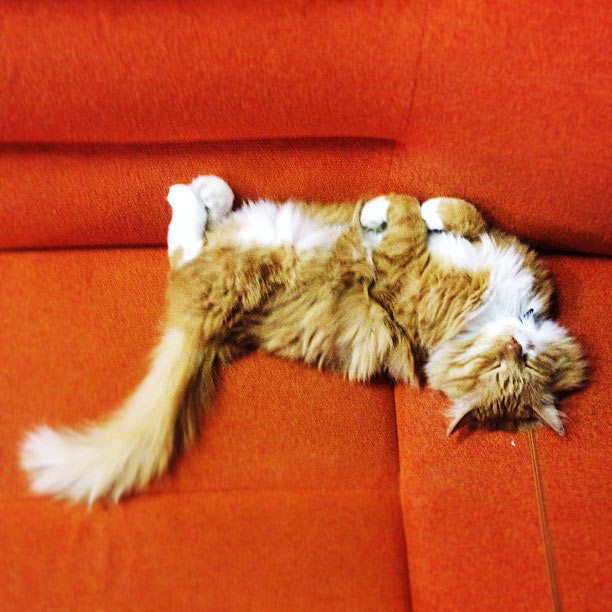 metro navigation process 2 29