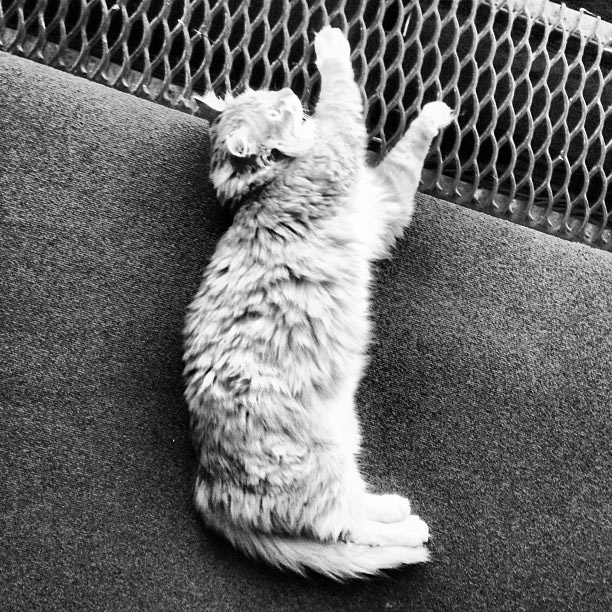 metro navigation process 2 32