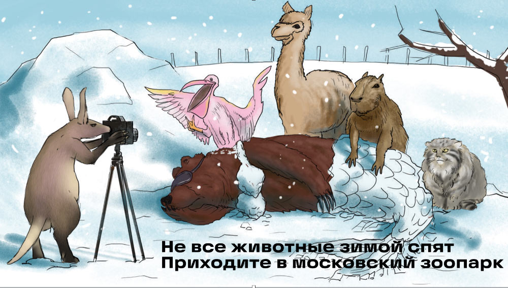 moscow zoo ad process 02