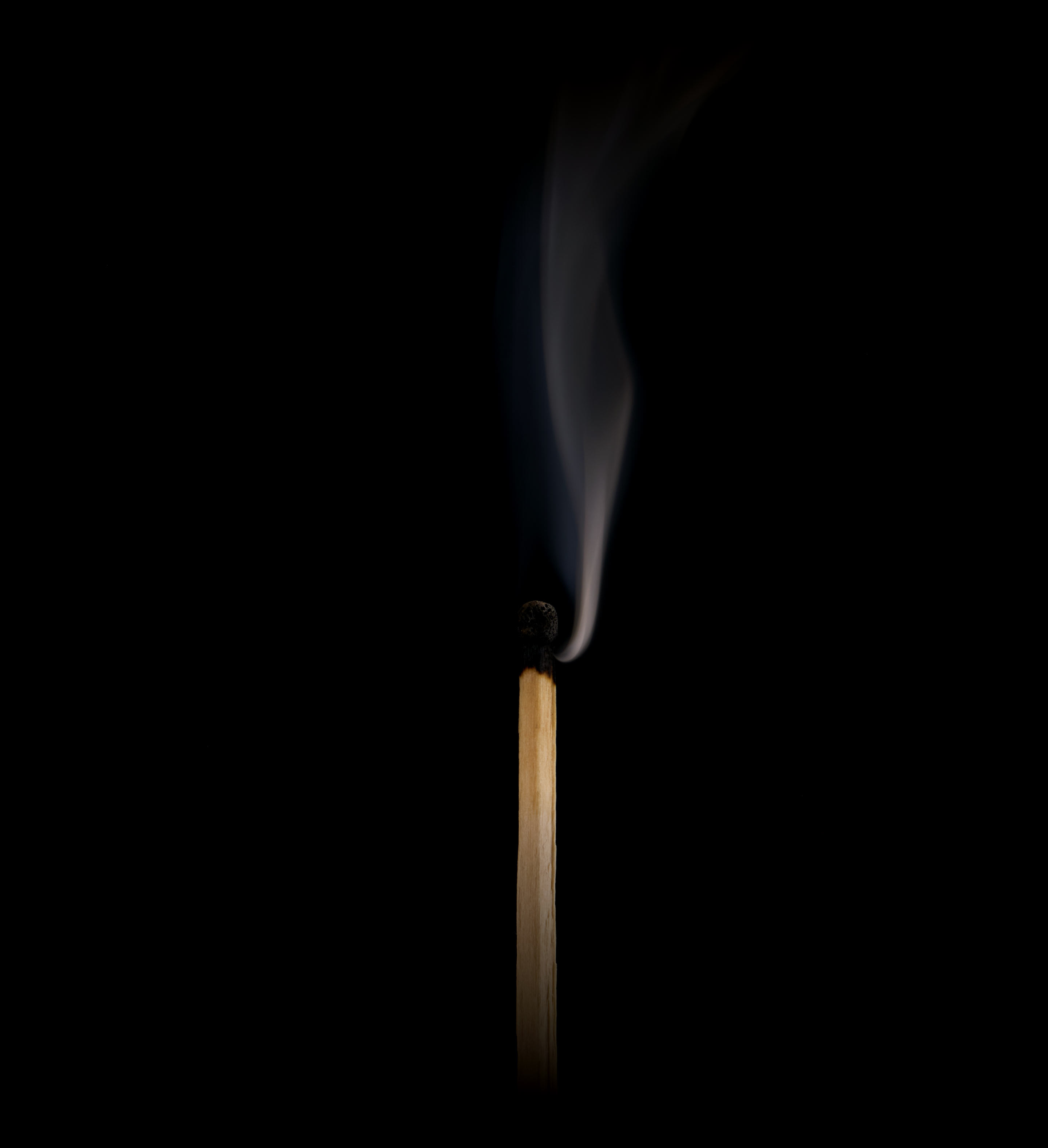 spichkus 03b