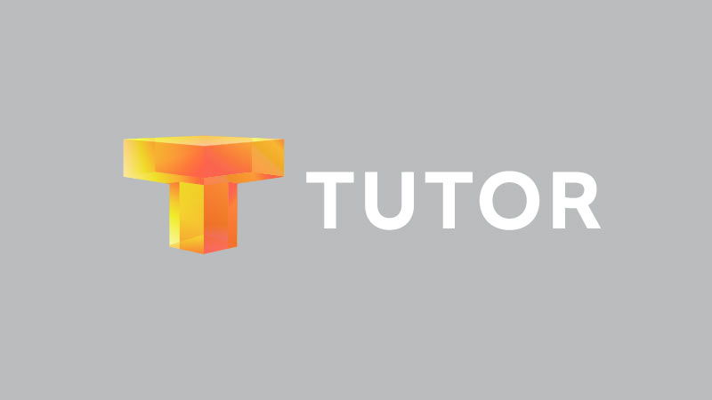 tutor process 013