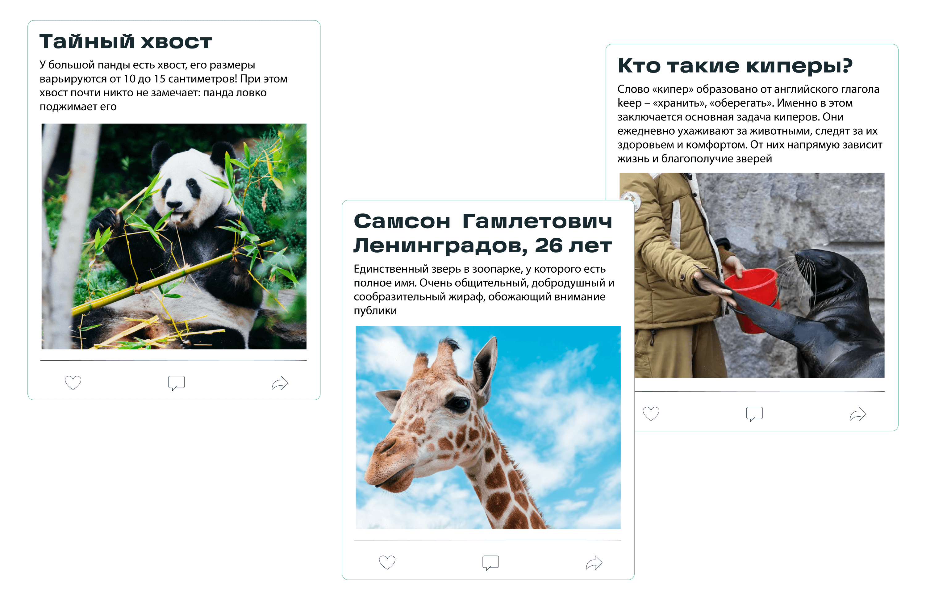 moscow zoo identity cards