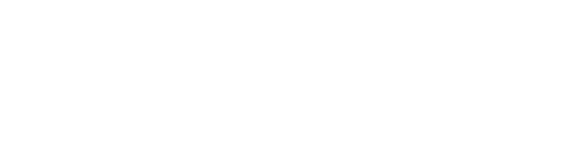 ritter logo