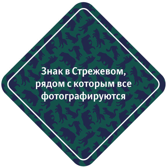 sign strezhevoy process 12
