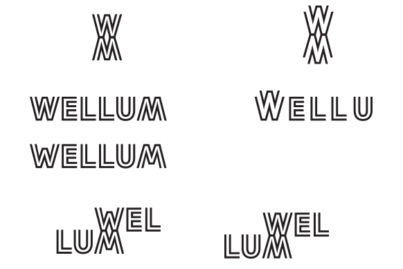wellum process 19