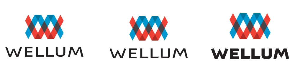 wellum process 31