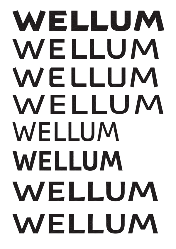 wellum process 32