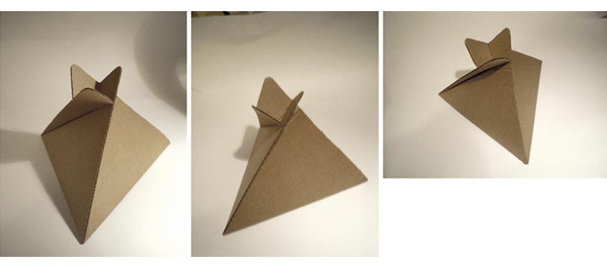 abagurus package process 2