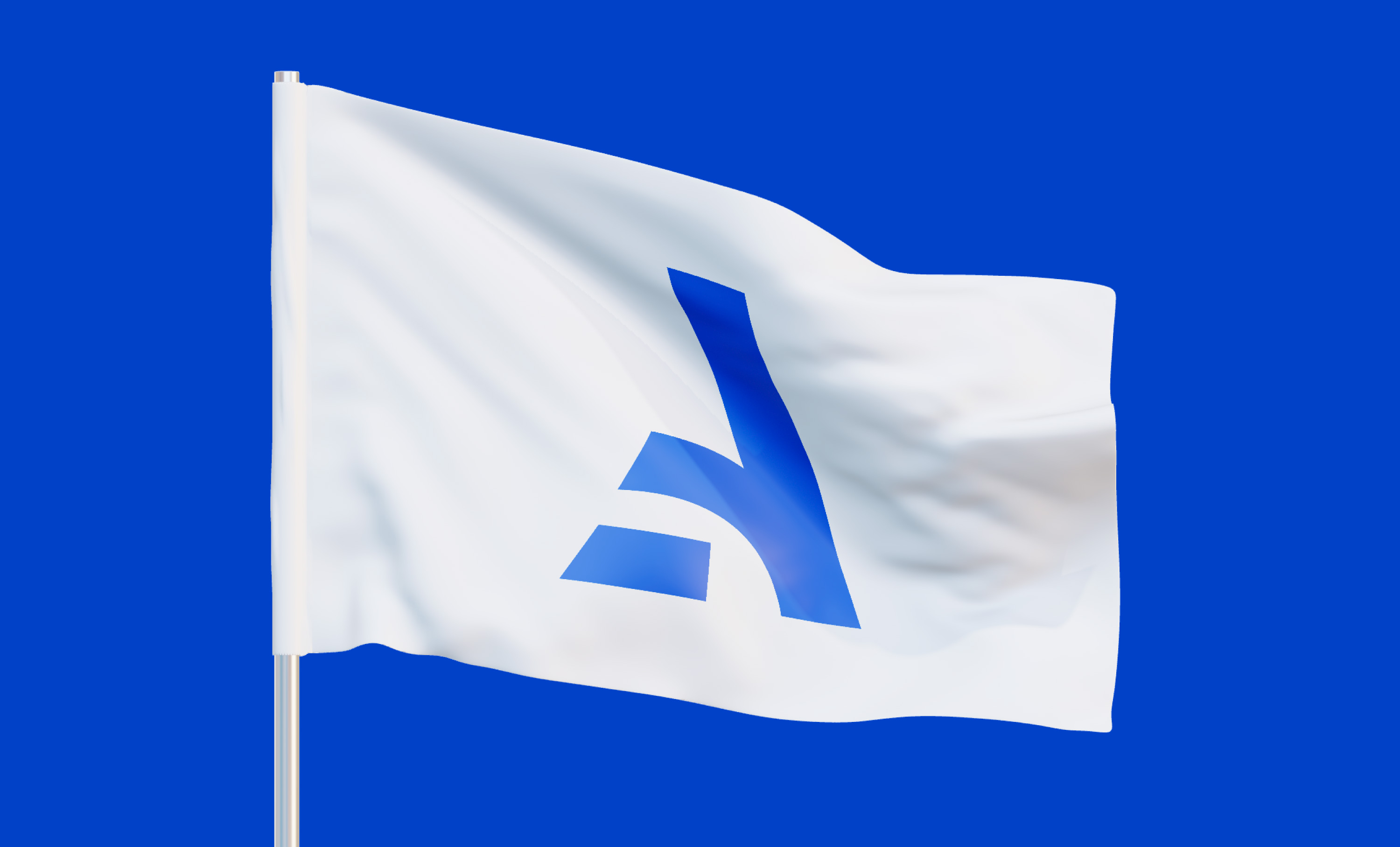 agidel flag