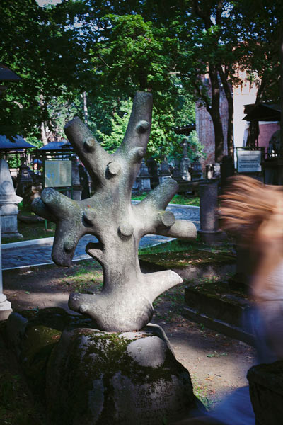 kladbischenskie istorii process 06