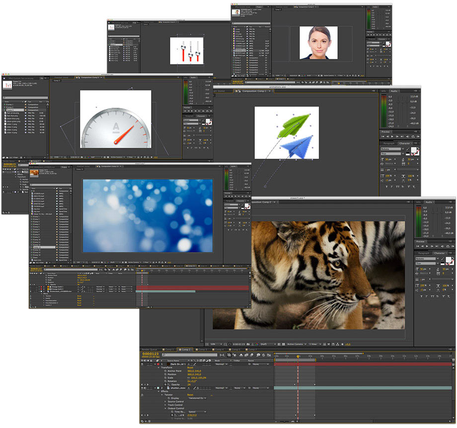 alfabank site5 process 64