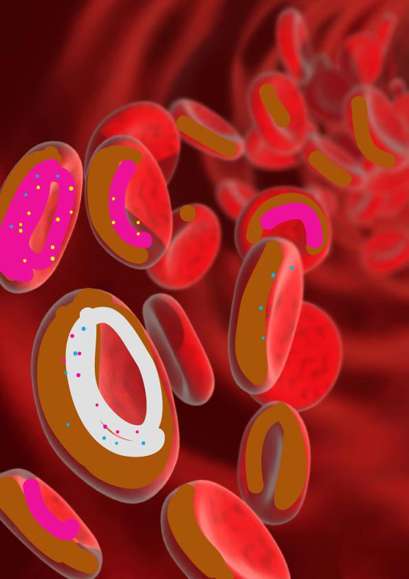 us independence day 2014 process 01