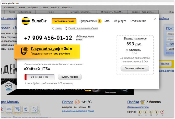 beeline my mini process 01