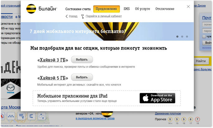 beeline my mini process 02