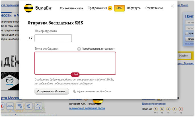 beeline my mini process 03