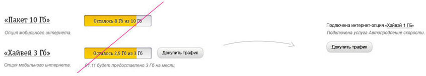 beeline my mini process 05