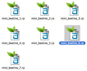 beeline my mini process 07