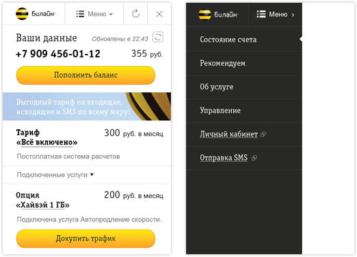 beeline my mini process 09