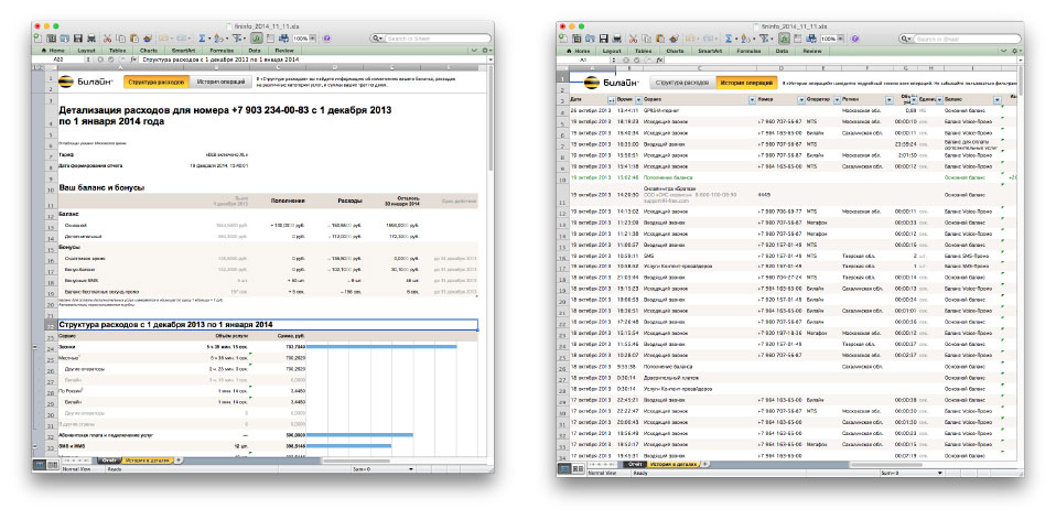 beeline my2 process 13