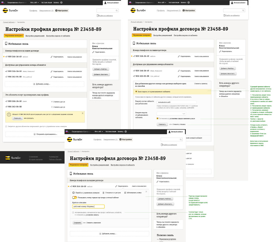 beeline my2 process 19