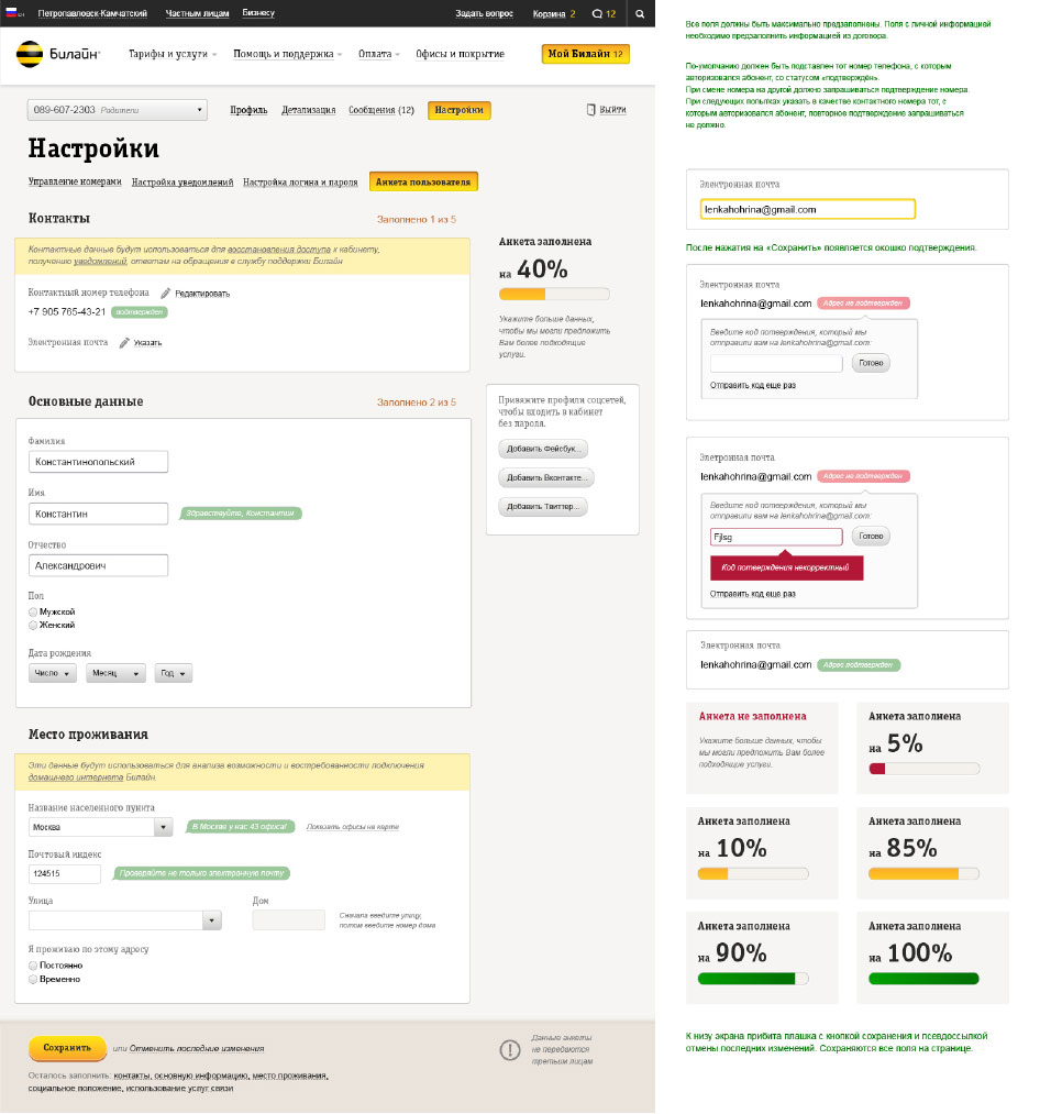 beeline my2 process 21