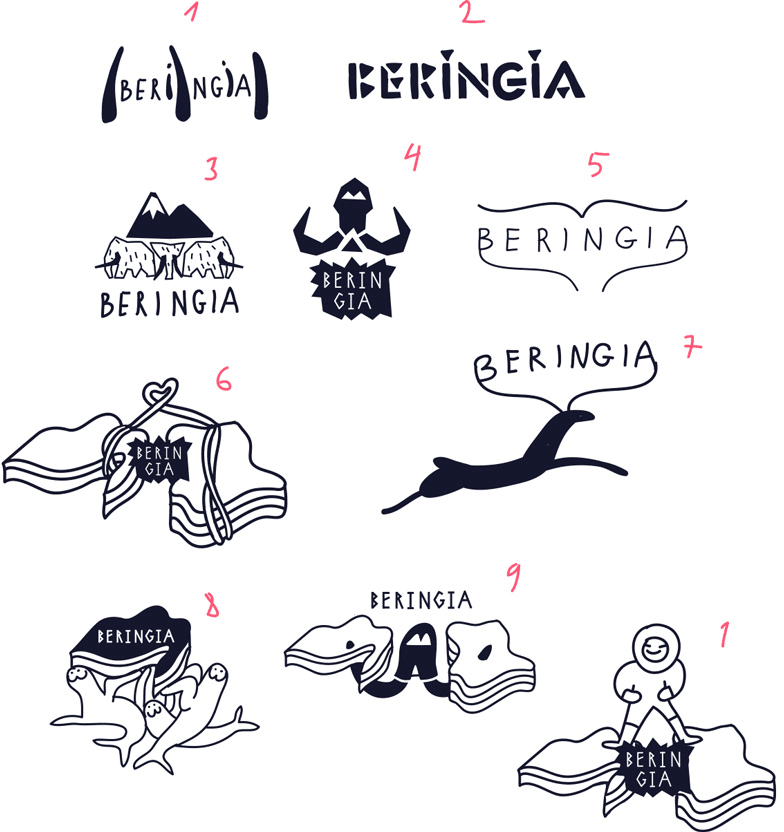 beringia process 14 2