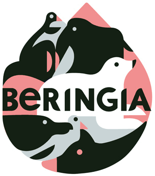 beringia process 15