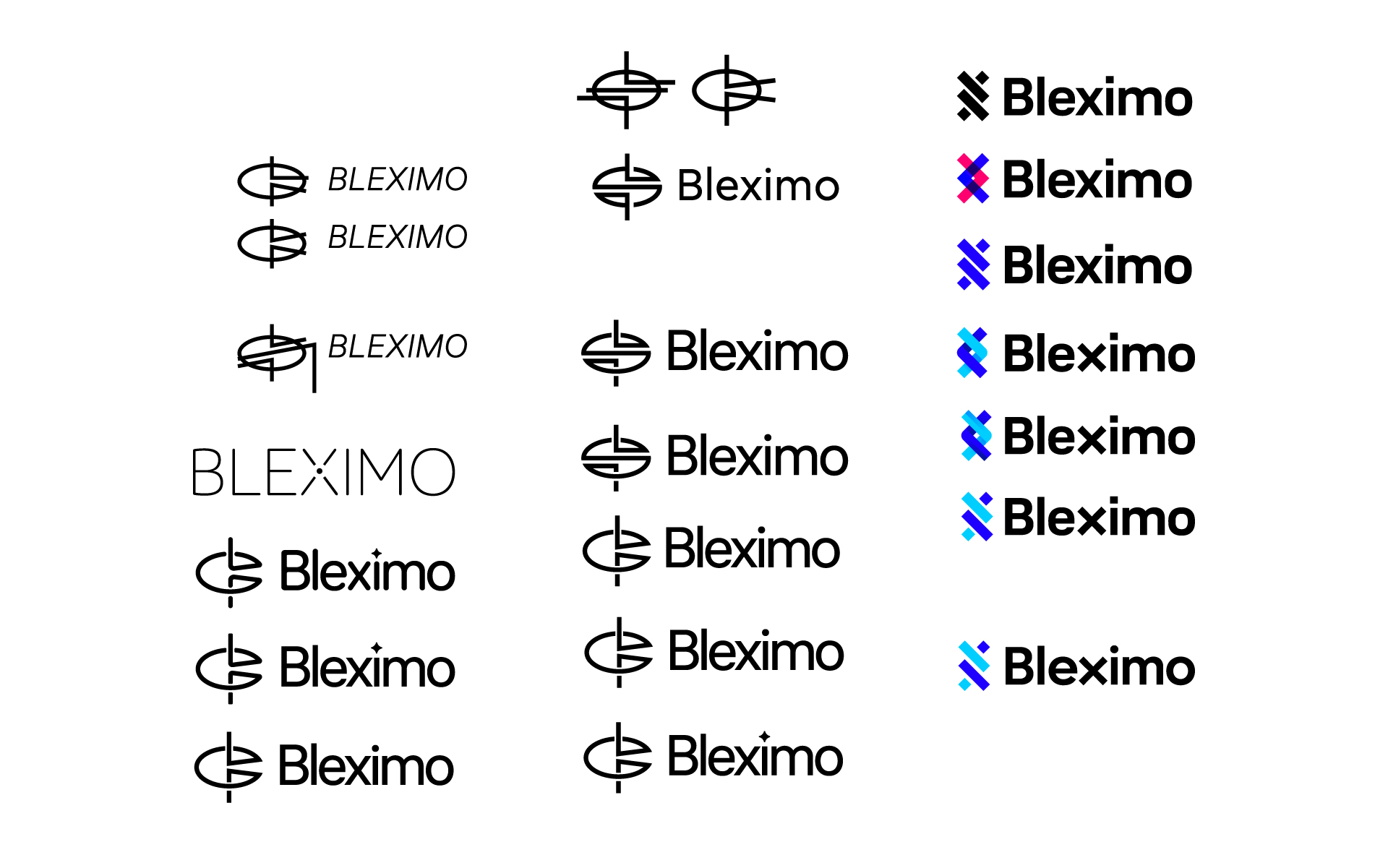 bleximo process 4
