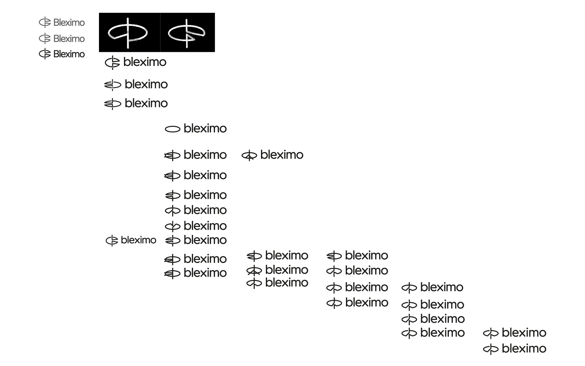 bleximo process 8