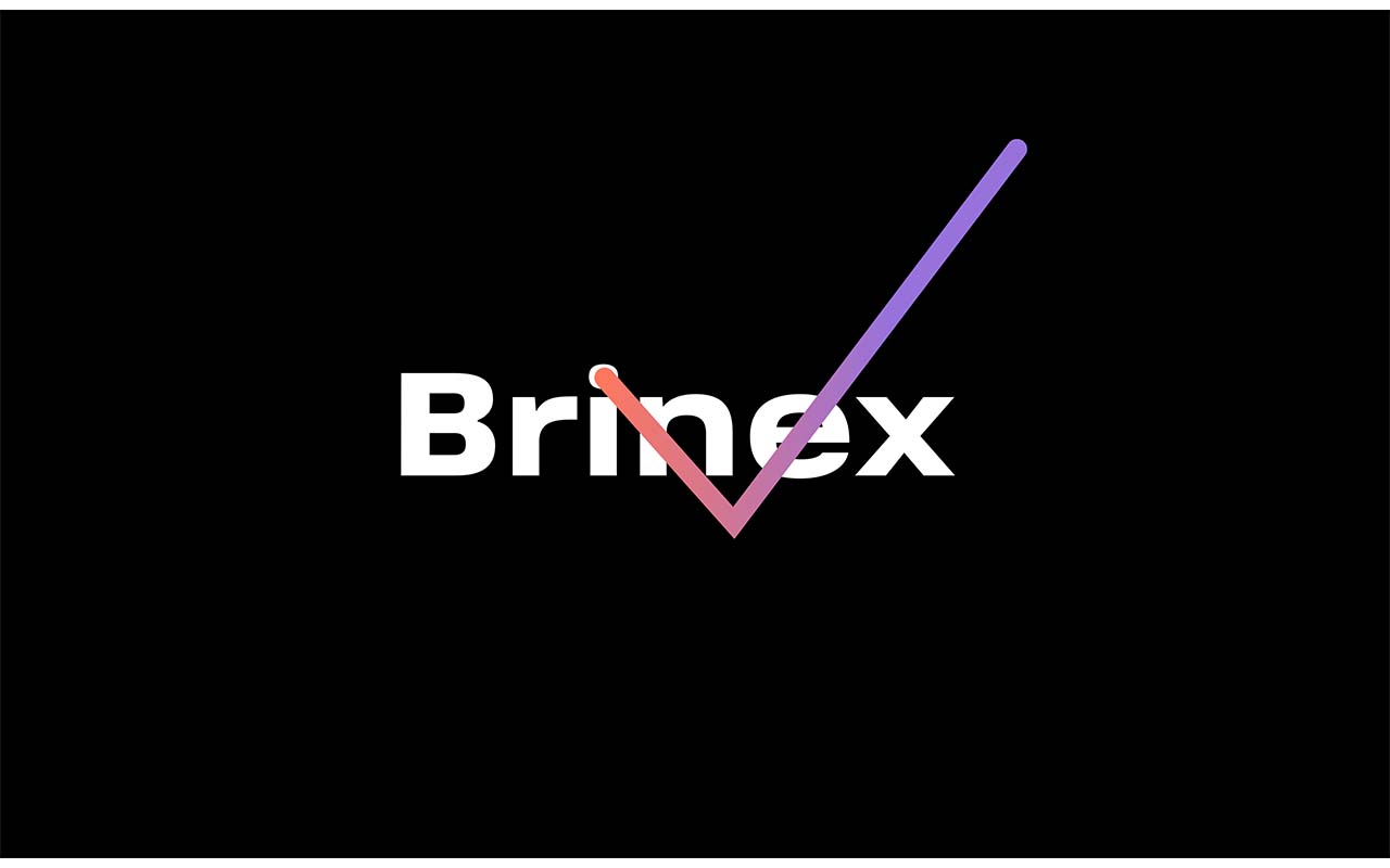 brinex process 31